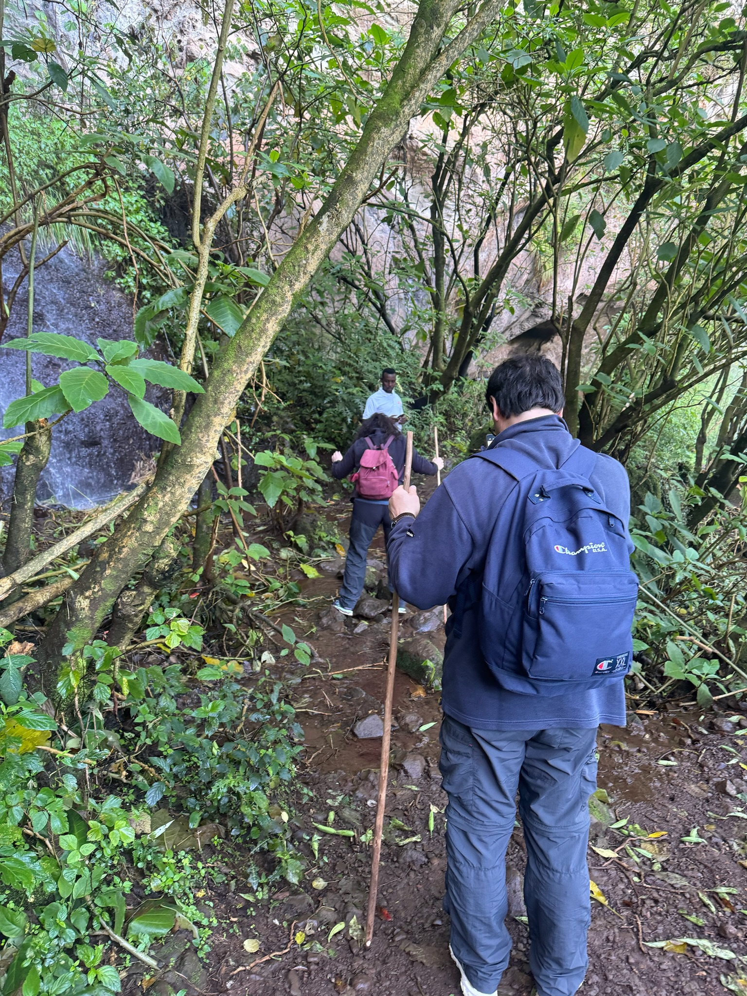 Trekking days