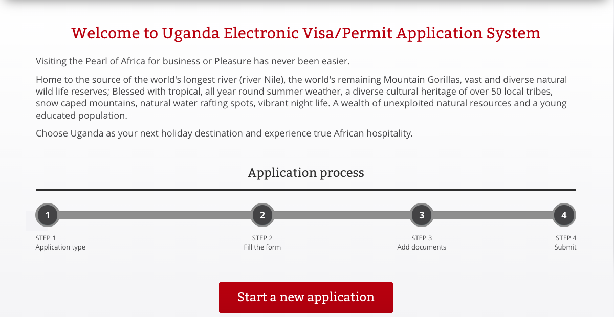 Visa Application Process