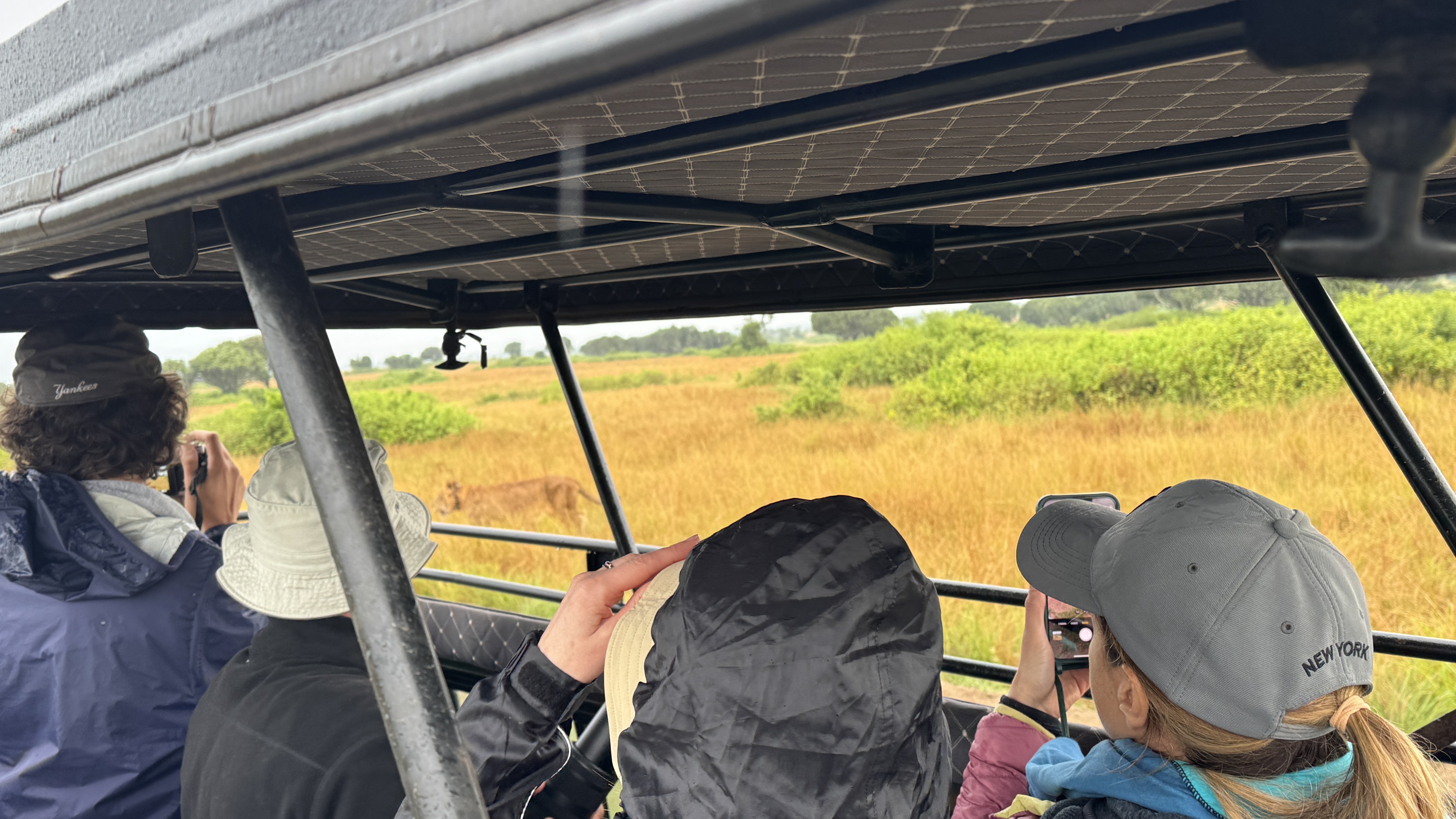 Safari journey in Uganda